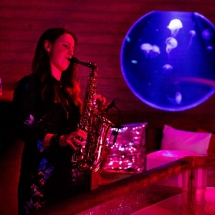 Lionsclub Vlissingen 2017